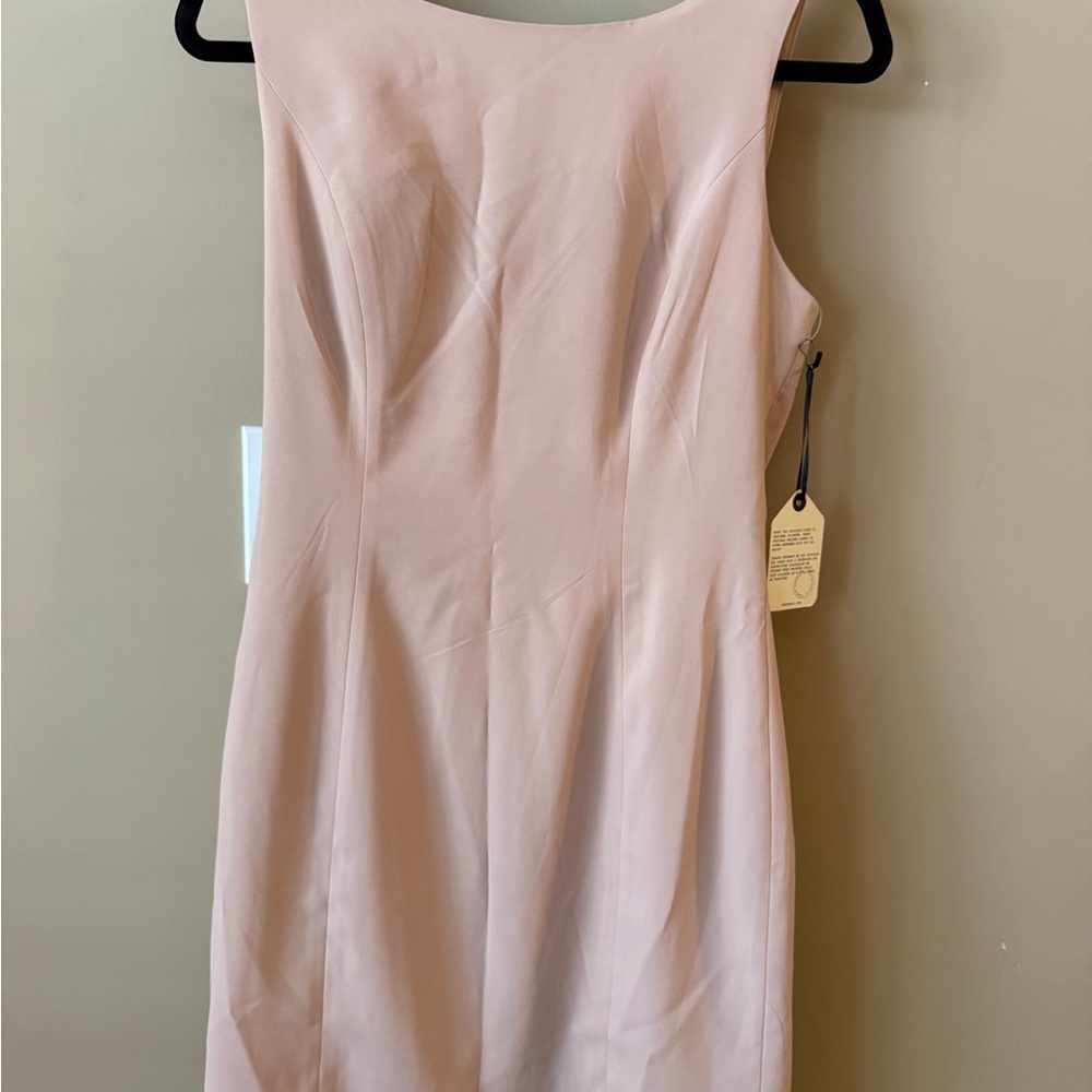 Forever 21 Blush Pink Mini Dress